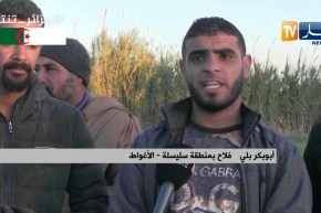 الأغواط: الكهرباء والمسالك الريفية.. مشاكل تعرقل عمل الفلاحين بمنطقة السليسلة