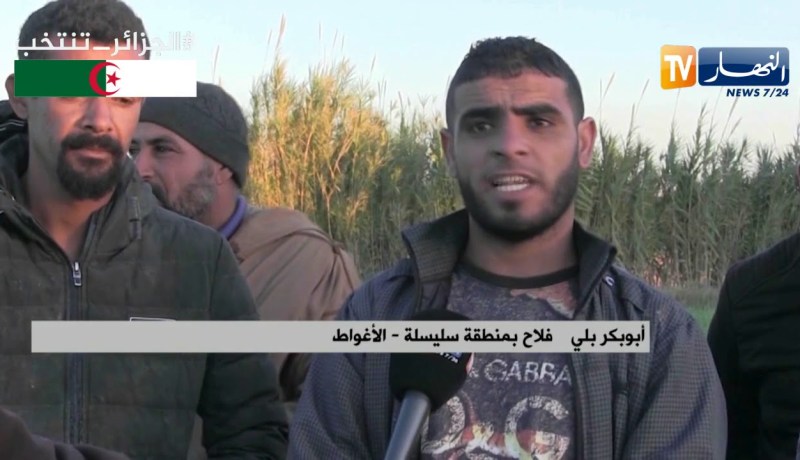 الأغواط: الكهرباء والمسالك الريفية.. مشاكل تعرقل عمل الفلاحين بمنطقة السليسلة