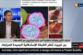 سوق خاص” للمرفهين ” عبر الفايسبوك ..لشراء الفواكه الممنوعة من الإستيراد