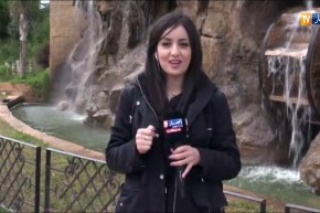 هذه هي توقعات أحوال الطقس للأيام القادمة