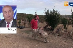 سياسة: عام على دخول الرئيس تبون قصر المرادية.. ما حقق من وعود وما يُنتظر