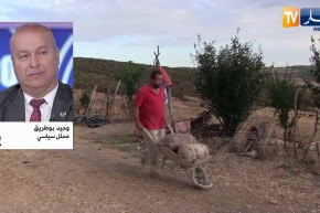 سياسة: عام على دخول الرئيس تبون قصر المرادية.. ما حقق من وعود وما يُنتظر