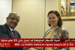 دبلوماسية: مساهل يستلم أوراق إعتماد سفراء جدد لدى الجزائر