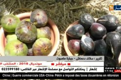 النشرة الأمازيغية لأمسية الجمعة 06 جويلية 2018