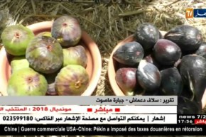 النشرة الأمازيغية لأمسية الجمعة 06 جويلية 2018