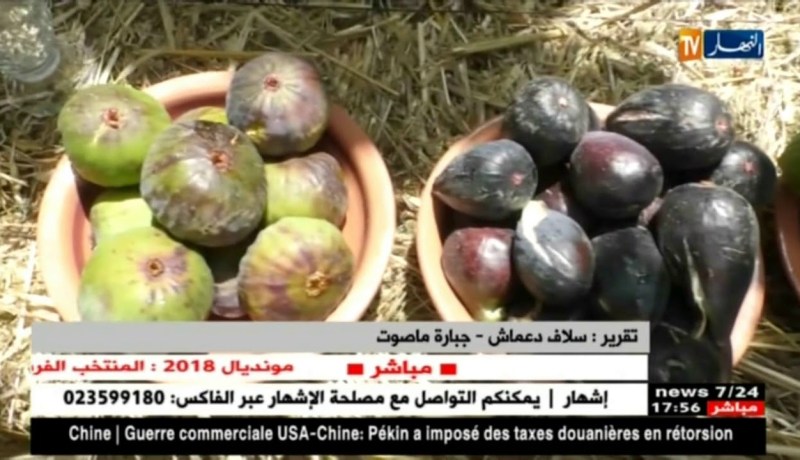 النشرة الأمازيغية لأمسية الجمعة 06 جويلية 2018