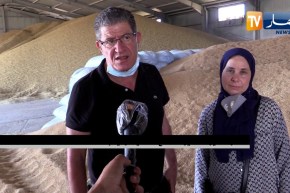 باتنة: فلاحو دائرة الشمرة يطالبون برفع قدرة تخزين الحبوب