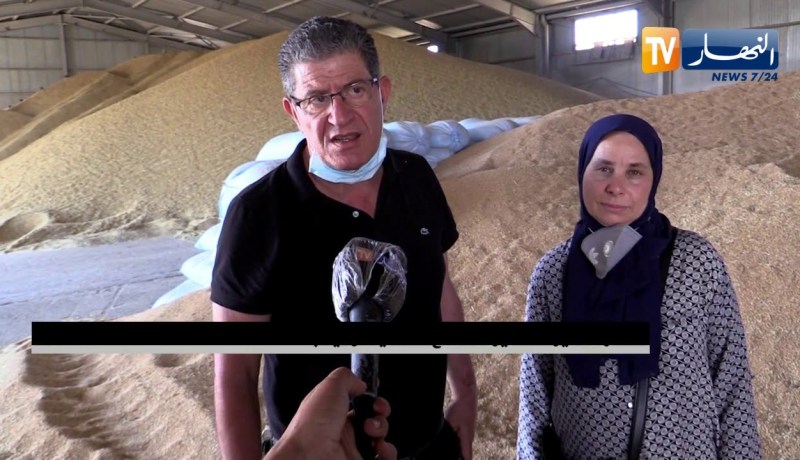 باتنة: فلاحو دائرة الشمرة يطالبون برفع قدرة تخزين الحبوب