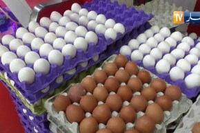 تجارة: أسعار البيض تقترب من 15 دج… إرتفاع مفاجئ والأسباب المجهولة !