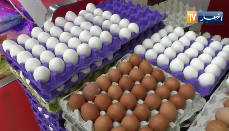 تجارة: أسعار البيض تقترب من 15 دج… إرتفاع مفاجئ والأسباب المجهولة !