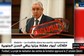 برلمان: إنتخابات تجديد نصفي لأعضاء مجلس الأمة يوم 29 ديسمبر المقبل