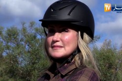 روبورتاج: الفروسية .. مظهر للتباهي ورمز الأصالة والقوة