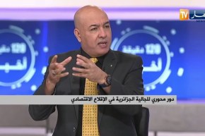 الجالية الجزائرية في قلب مشروع تعديل الدستور