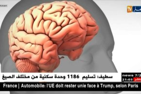 صحة: جزائريون يأخذون 100 جرعة من القلق يوميا ما يسبب الإنهيارات العصبية
