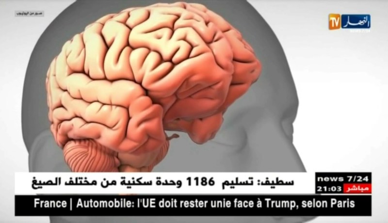 صحة: جزائريون يأخذون 100 جرعة من القلق يوميا ما يسبب الإنهيارات العصبية