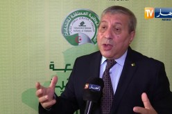 “علي ذراع :” سنرافق حملة شرح الدستور التي أعلنت عنها وزارة الإتصال