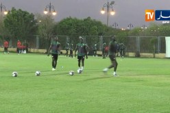 آخر حصة تدريبية للمنتخب السنغالي قبل مواجهة الخضر في النهائي