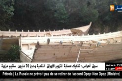 عنابة: كشف ورشتين سرّيتين لصناعة قوارب الموت !!