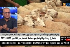 دحمان نجيب: هذه هي المعايير التي يجب الإعتماد عليها لإختيار الأضحية الأنسب