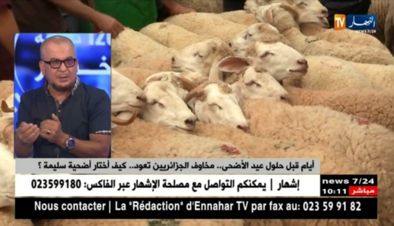دحمان نجيب: هذه هي المعايير التي يجب الإعتماد عليها لإختيار الأضحية الأنسب