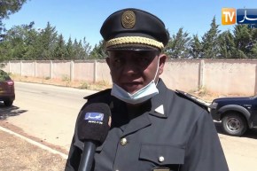 محافظ الغابات بتيارت: تدعمنا بـ 8 سيارات للتدخل الأولي للحرائق