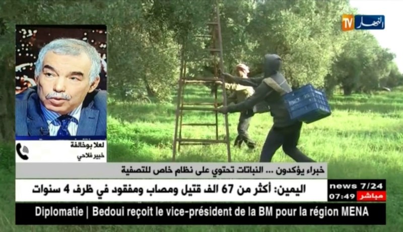 خبراء يؤكدون ..النباتات تحتوي على نظام خاص للتصفية