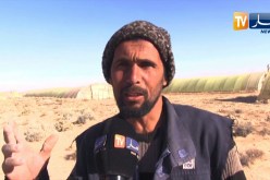 بسكرة: فلاحون ينجزون مسالك فلاحية لفك العزلة عن منطقتهم بأمليلي