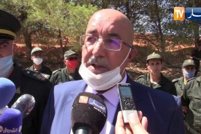 تيارت.. المدير العام للغابات: نطالب بإعادة تسليح أعوان الغابات