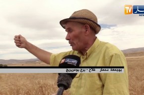 برج بوعريريج: الشيخ بوجمعة.. فلاح فجر الأرض خيرات بعمله المتقن