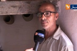 باتنة/ “ثيزياذين”..الطريقة التقليدية الناجحة لتربية النحل