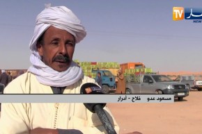 أدرار: حل أزمة نقل و تسويق الطماطم يعيد الأمل للفلاحين بطلمين