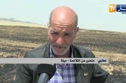 ميلة: إحتراق سيارة ونجاة عائلة على متنها وإمتداد النار للمحاصيل الزراعية