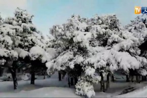 سطيف: غلق الطريق الوطني رقم 77 بفعل التساقط المعتبر للثلوج