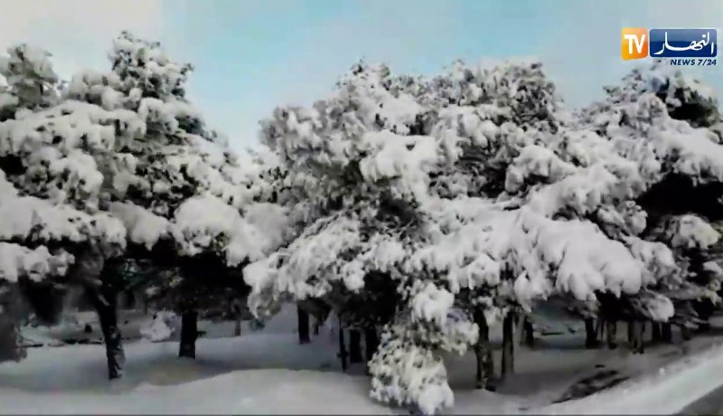 سطيف: غلق الطريق الوطني رقم 77 بفعل التساقط المعتبر للثلوج