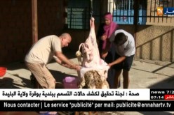 دين: هل يجوز بيع جلود الأضاحي ؟