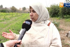 عجينة خاصة لتغذية النحل خلال فصل الشتاء