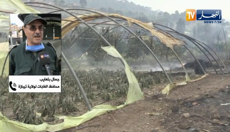 عقوبات من 10 سنوات إلى الإعدام في حق المتسببين في حرائق الغابات