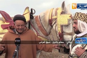 جزائريون: ركوب الخيل..  موروث شعبي يأبى الإندثار بسوق اهراس