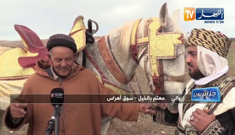 جزائريون: ركوب الخيل..  موروث شعبي يأبى الإندثار بسوق اهراس