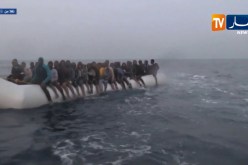 هجرة: البحرية الملكية المغربية تقول أنها أنقذت 177 مهاجرا حاولوا العبور إلى إسبانيا