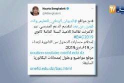 فتح مواقع ديوان التكوين والتعليم عن بعد لتقديم الدعم المدرسي لتلاميذ البكالوريا