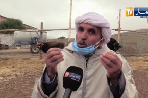 المدية: الدرك الوطني يسترجع 31 رأسا من الماشية  والنهار تشارك عمي عبد الرحمان فرحته