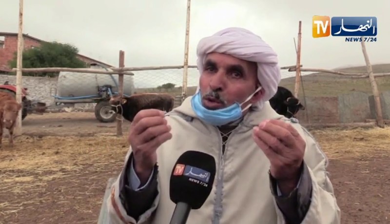 المدية: الدرك الوطني يسترجع 31 رأسا من الماشية  والنهار تشارك عمي عبد الرحمان فرحته