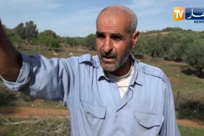 سكيكدة: عد الحرائق .. الإعتداءات المتكررة والمنطقة تطال الغطاء النباتي