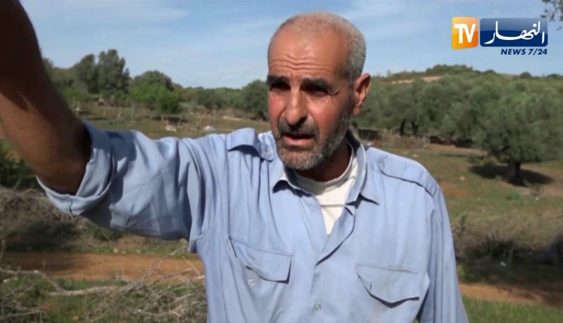 سكيكدة: عد الحرائق .. الإعتداءات المتكررة والمنطقة تطال الغطاء النباتي