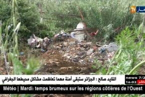 العاصمة: بعد عرض مشاهد إستغلال مزرعة من قبل أفارقة ..السلطات تتحرك!