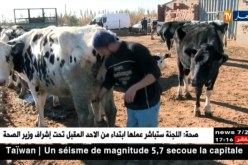 الجلفة: إلياس.. مثال ناجح في تربية الأبقار الحلوب رغم الصعاب