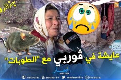 من عمق الجزائر: شاهد قصة تدمع العين لعجوز إتخذت من بيت قصديري أمام الواد مأوى لها
