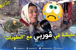 من عمق الجزائر: شاهد قصة تدمع العين لعجوز إتخذت من بيت قصديري أمام الواد مأوى لها