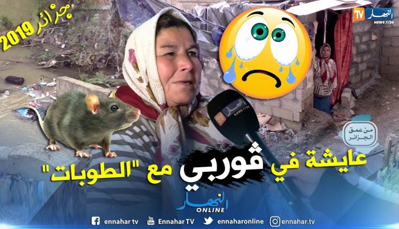 من عمق الجزائر: شاهد قصة تدمع العين لعجوز إتخذت من بيت قصديري أمام الواد مأوى لها